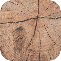 Old Wood Grain Background 2